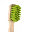 Première brosse à dents en bois Curaprox
