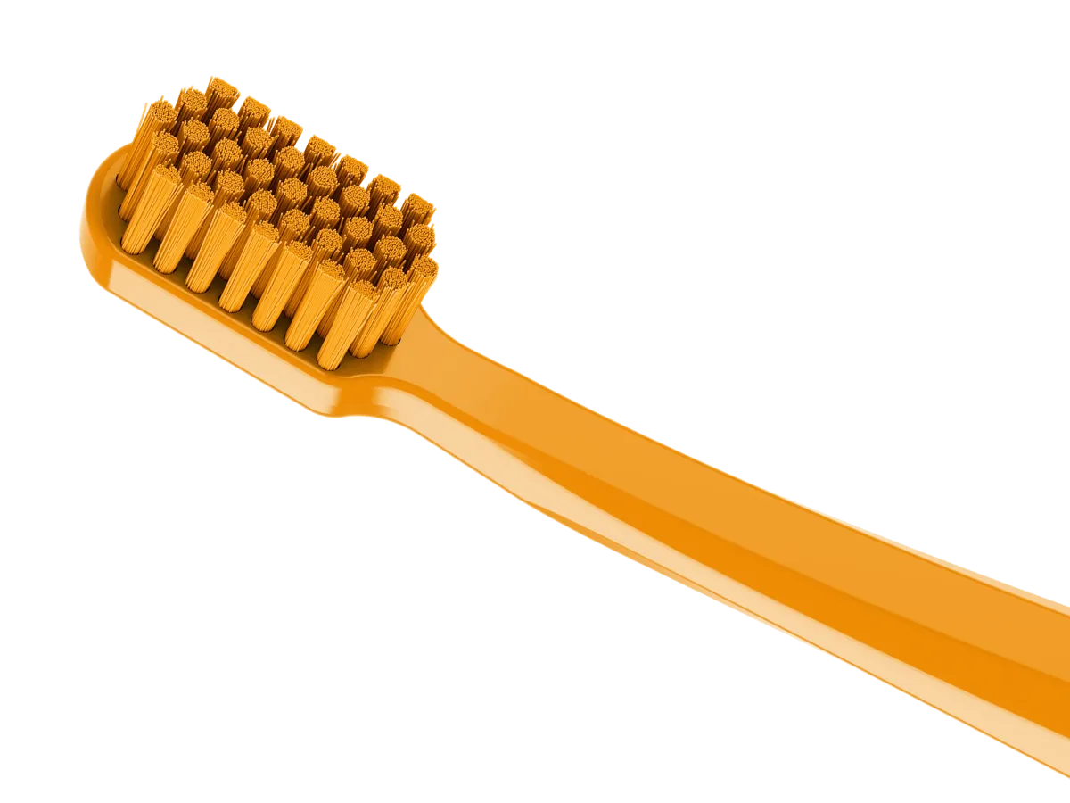 Brosses à dents manuelles
